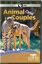Watch Animal Odd Couples Letmewatchthis