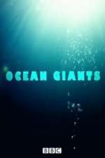 Watch Ocean Giants Letmewatchthis