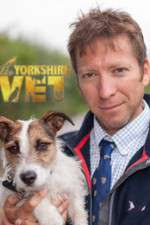 Watch Letmewatchthis The Yorkshire Vet Online