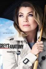 Watch Letmewatchthis Grey's Anatomy Online
