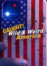 Watch Letmewatchthis Wild & Weird America Online