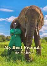 Watch Letmewatchthis My Best Friend's an Animal Online