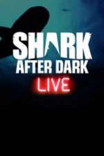 Watch Letmewatchthis Shark After Dark Online
