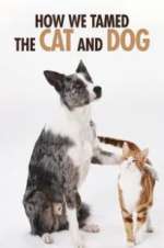 Watch How We Tamed the Cat and Dog Letmewatchthis