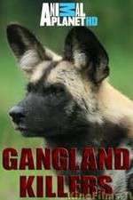 Watch Gangland Killers Letmewatchthis
