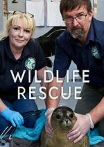 Watch Letmewatchthis Wildlife Rescue Online