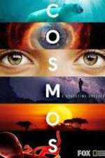 Watch Letmewatchthis Cosmos A SpaceTime Odyssey Online