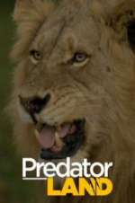 Watch Predator Land Letmewatchthis