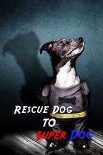 Watch Rescue Dog to Super Dog Letmewatchthis