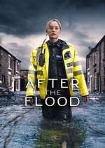 after the flood tv poster
