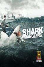Watch Shark Wranglers Letmewatchthis