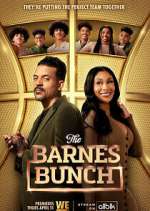 Watch Letmewatchthis The Barnes Bunch Online