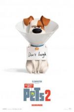Watch The Secret Life of Pets 2 Letmewatchthis
