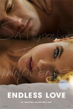 Watch Endless Love Letmewatchthis