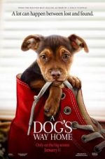 Watch A Dog's Way Home Letmewatchthis