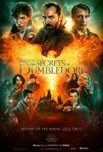 Watch Fantastic Beasts: The Secrets of Dumbledore Letmewatchthis