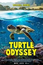Watch Turtle Odyssey Letmewatchthis