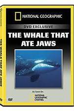 Watch Predator CSI The Whale That Ate Jaws Letmewatchthis