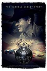 Watch Shelby American Letmewatchthis