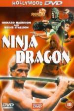 Watch Ninja Dragon Letmewatchthis