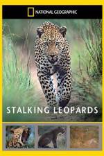 Watch National Geographic: Stalking Leopards Letmewatchthis