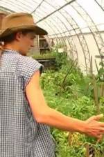 Watch Green House Seeds Strain Hunters India Expedition Letmewatchthis