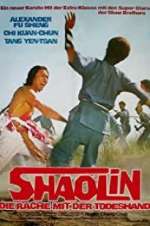 Watch The Shaolin Avengers Letmewatchthis