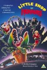 Watch Little Shop of Horrors Letmewatchthis