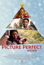 Watch A Picture Perfect Holiday Letmewatchthis