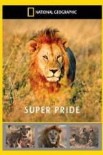 Watch National Geographic: Super Pride Africa\'s Largest Lion Pride Letmewatchthis