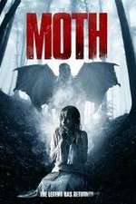 Watch Moth Letmewatchthis