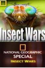 Watch National Geographic Insect Wars Letmewatchthis