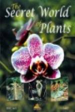 Watch The Secret World of Plants Letmewatchthis