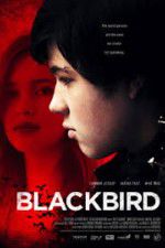 Watch Blackbird Letmewatchthis