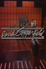 Watch The Magic of David Copperfield VII Familares Letmewatchthis