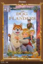 Watch The Dog of Flanders Letmewatchthis