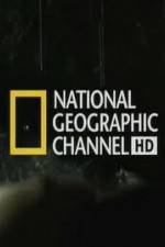 Watch National Geographic Night Stalkers Hyena Gangs Letmewatchthis