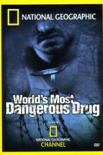 Watch Worlds Most Dangerous Drug Letmewatchthis