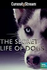 Watch Secret Life of Dogs Letmewatchthis