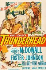 Watch Thunderhead: Son of Flicka Letmewatchthis
