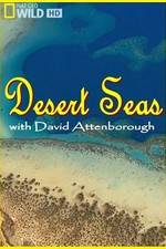 Watch Desert Seas Letmewatchthis