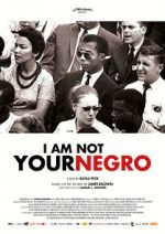 Watch I Am Not Your Negro Letmewatchthis