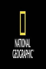 Watch National Geographic Wild Animal Attacks On Vacation Letmewatchthis