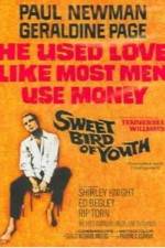 Watch Sweet Bird of Youth Letmewatchthis