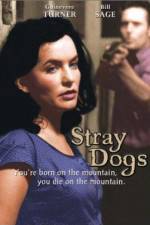 Watch Stray Dogs Letmewatchthis
