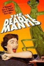 Watch The Deadly Mantis Letmewatchthis