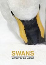 Watch Swans: Mystery of the Missing Letmewatchthis