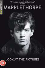 Watch Mapplethorpe: Look at the Pictures Letmewatchthis
