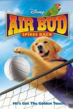 Watch Air Bud Spikes Back Letmewatchthis
