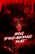 Watch Big Freaking Rat Letmewatchthis